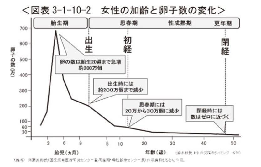 女性の加齢と卵子数の変化